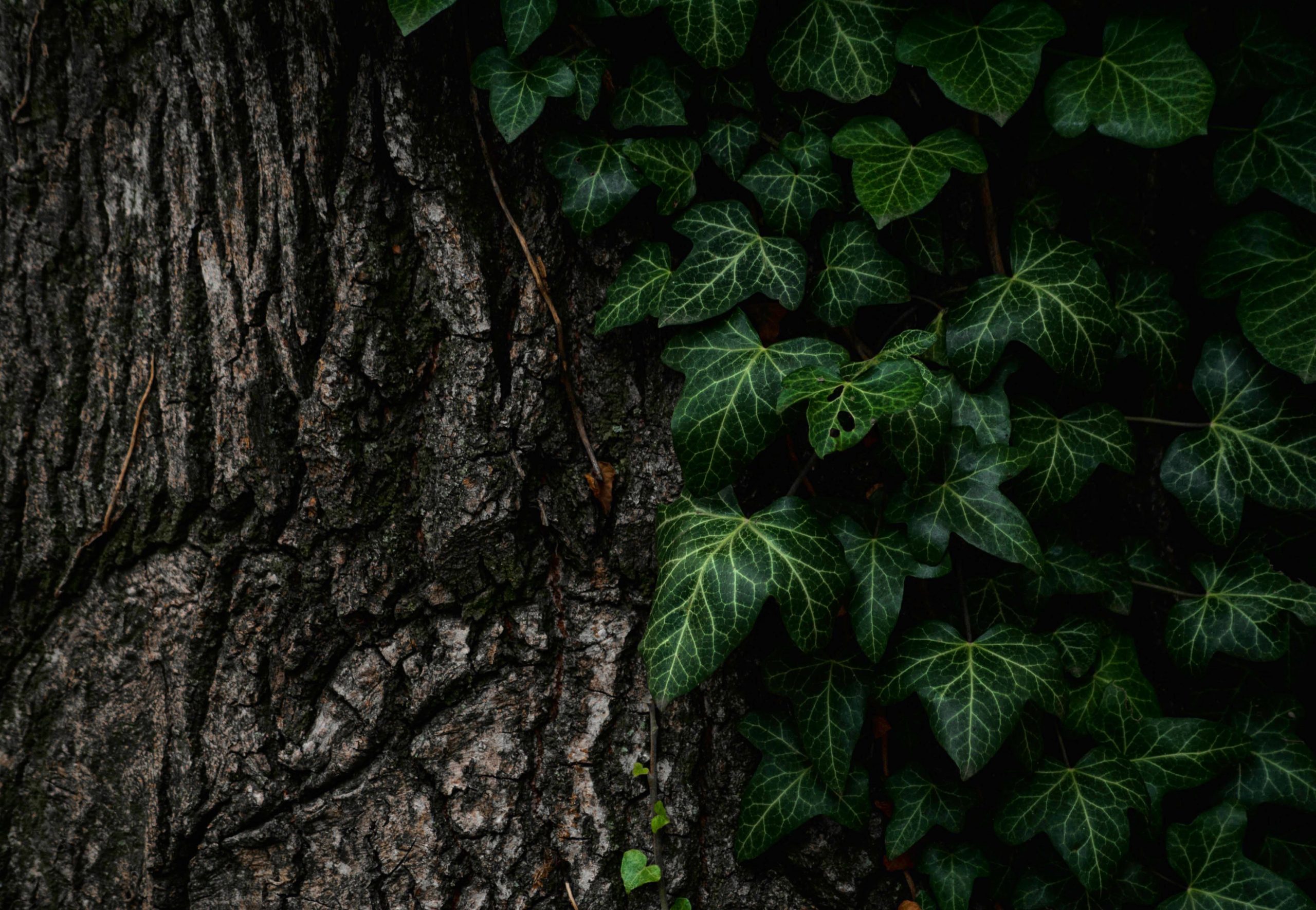 Are you giving too much or taking too much like this Ivy?