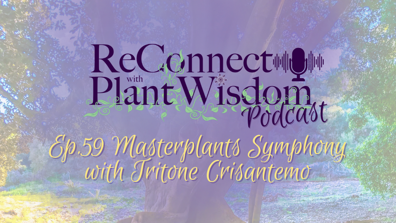 Ep.59 Masterplants Symphony with Tritone Crisantemo | ReConnect with Plant Wisdom podcast