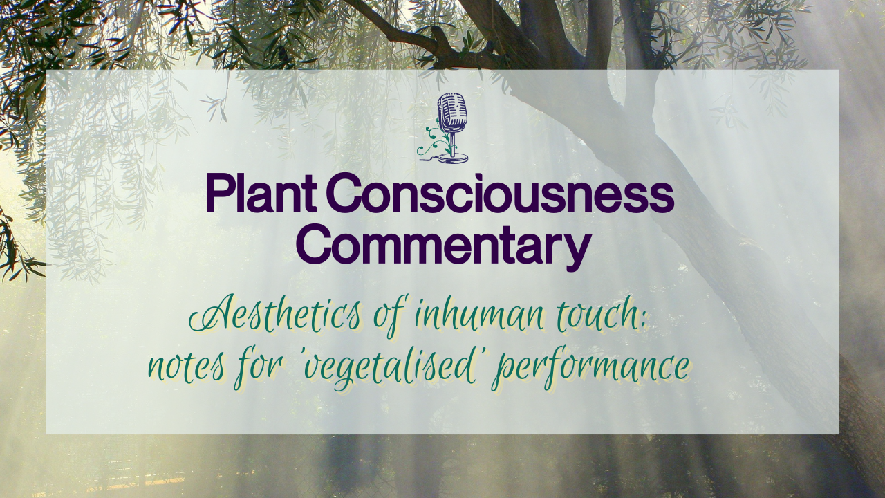 Aesthetics of inhuman touch: notes for 'vegetalised' performance | Plant Consciousness Commentary