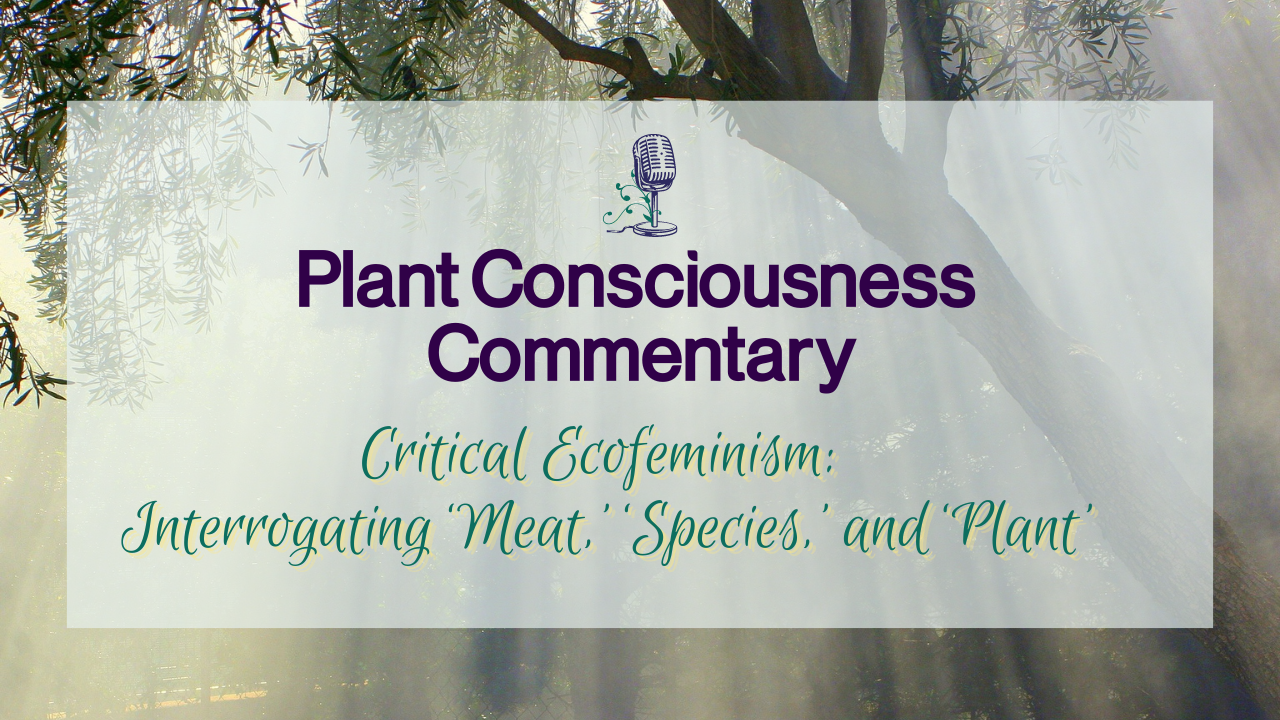 Critical Ecofeminism: Interrogating ‘Meat,’ ‘Species,’ and ‘Plant’ | Plant Consciousness Commentary