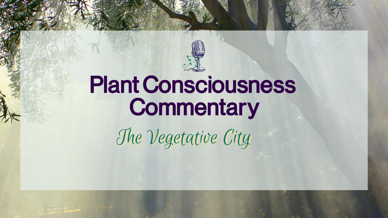 The Vegetative City | Plant Consciousness Commentary