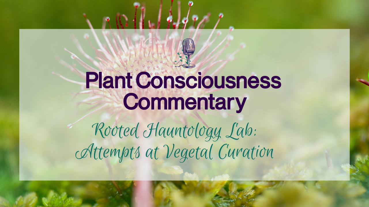 Rooted Hauntology Lab: Attempts at Vegetal Curation | Plant Consciousness Commentary