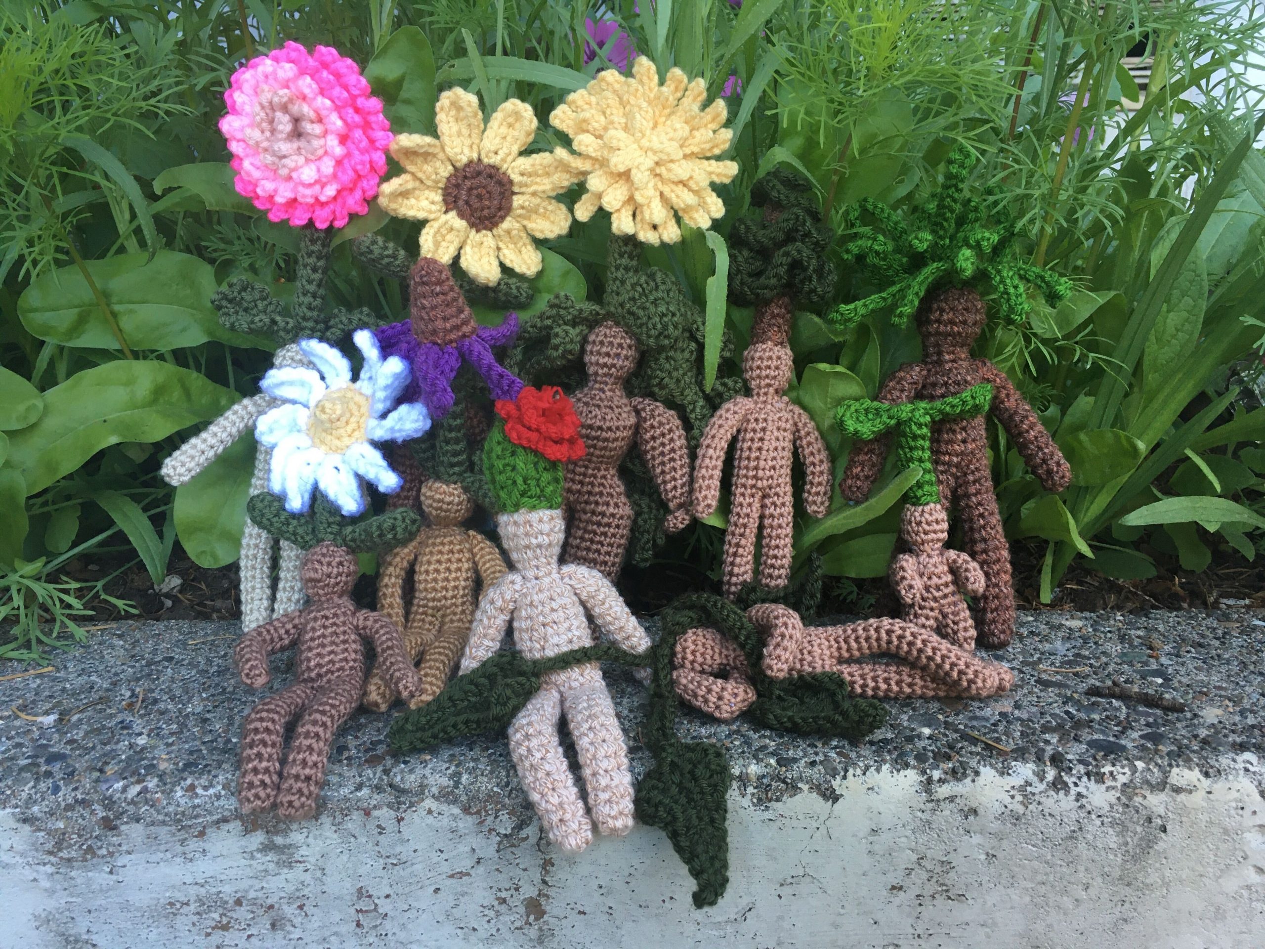 The Planta Sapiens by Michelle Kirby