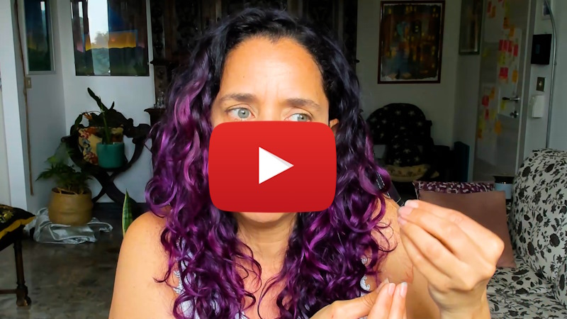 Tigrilla Gardenia talks about Chickweed and Cattail