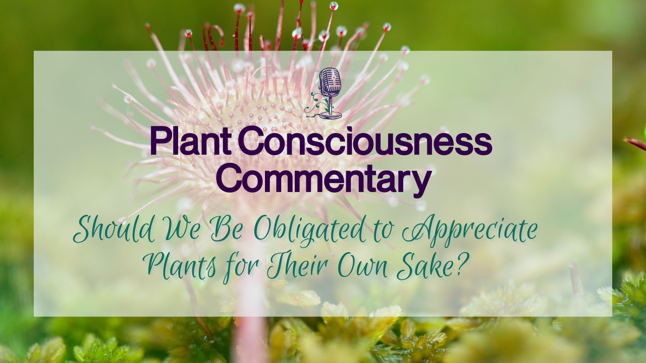 Should We Be Obligated to Appreciate Plants for Their Own Sake? | Plant Consciousness Commentary