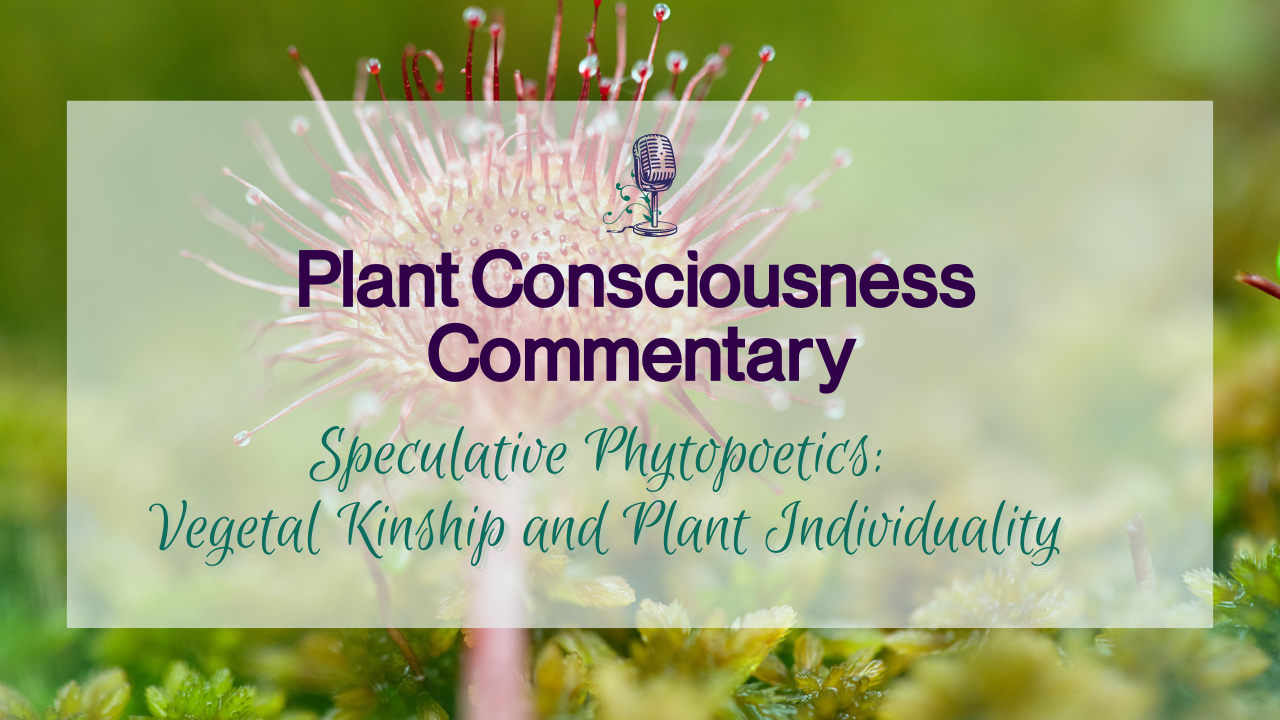 Speculative Phytopoetics: Vegetal Kinship and Plant Individuality | Plant Consciousness Commentary