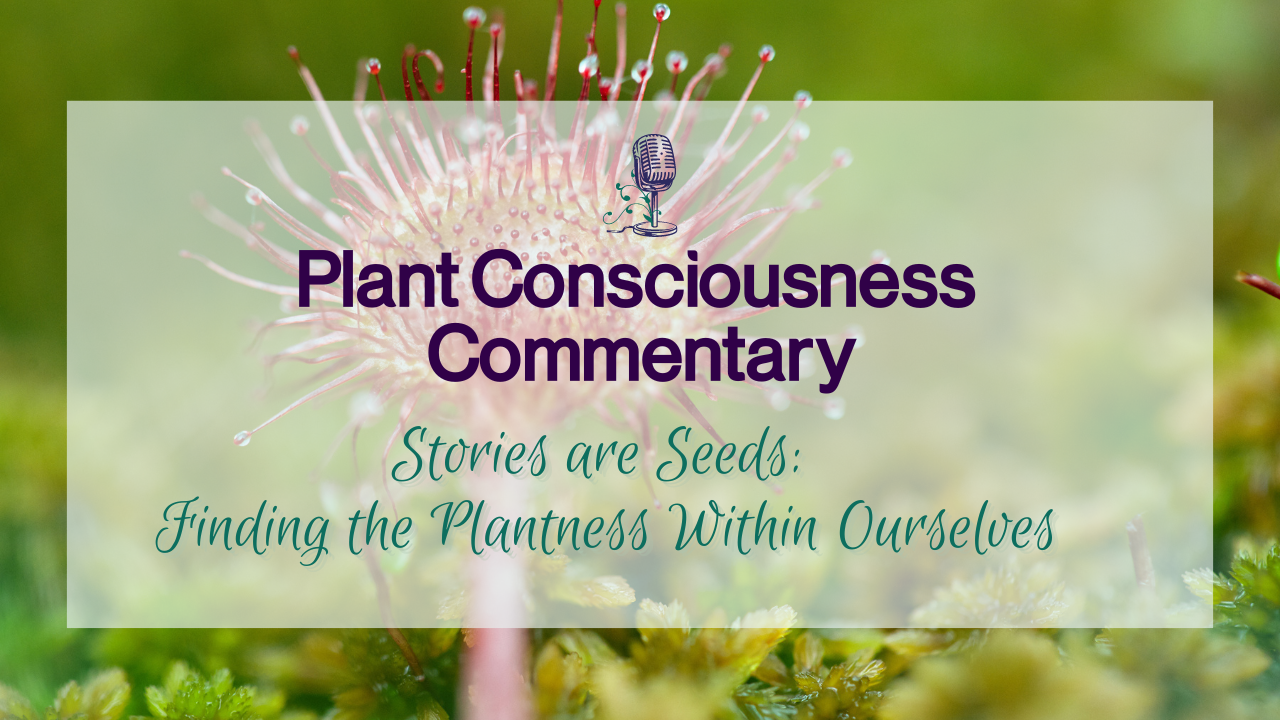 Stories are Seeds: Finding the Plantness Within Ourselves | Plant Consciousness Commentary