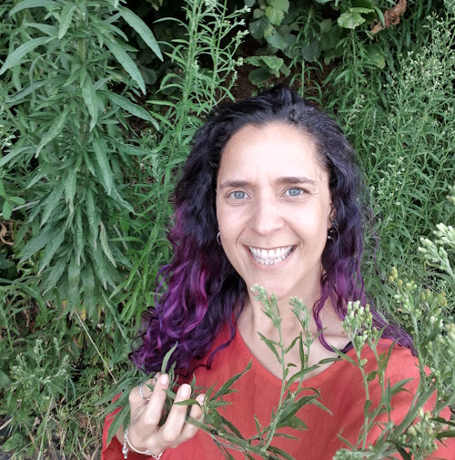 Tigrilla Gardenia in a field of Mugwort