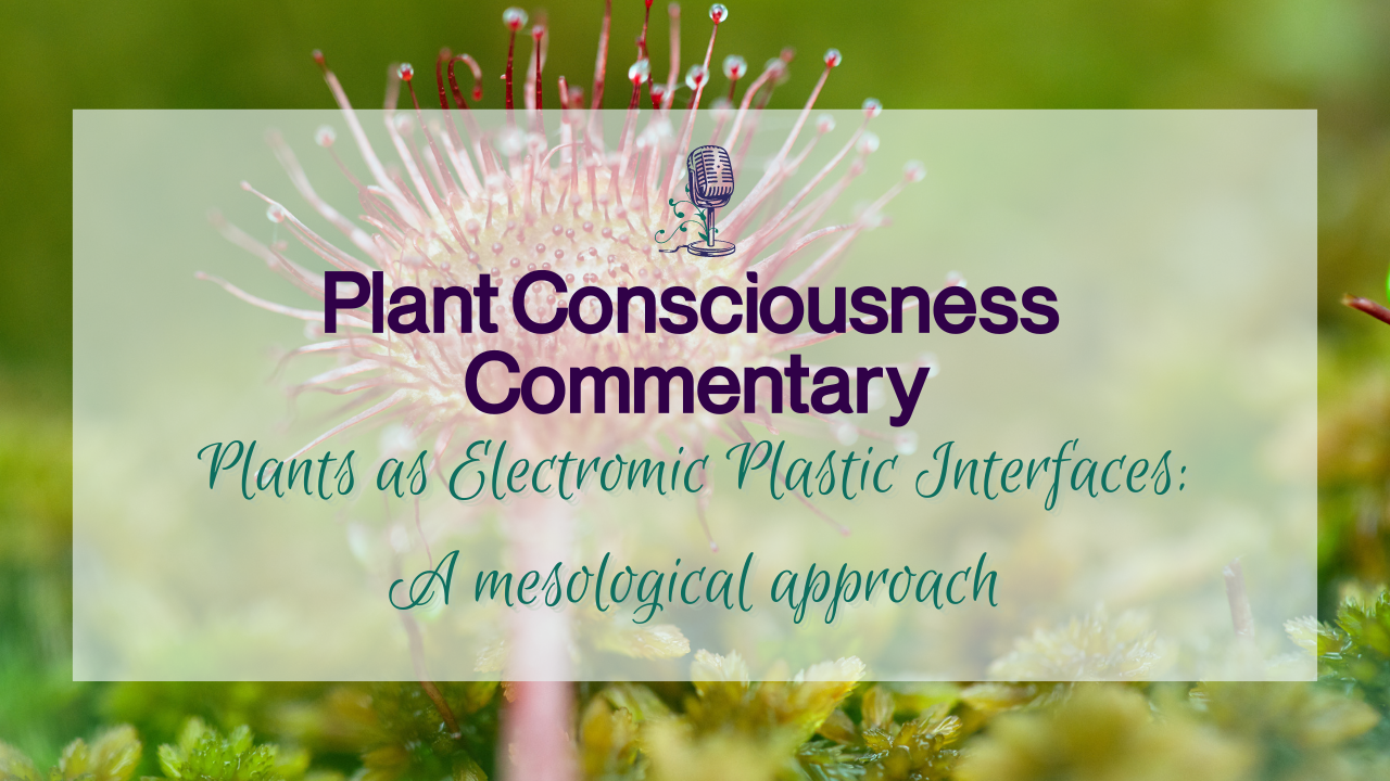 Plants as Electromic Plastic Interfaces: A mesological approach | Plant Consciousness Commentary