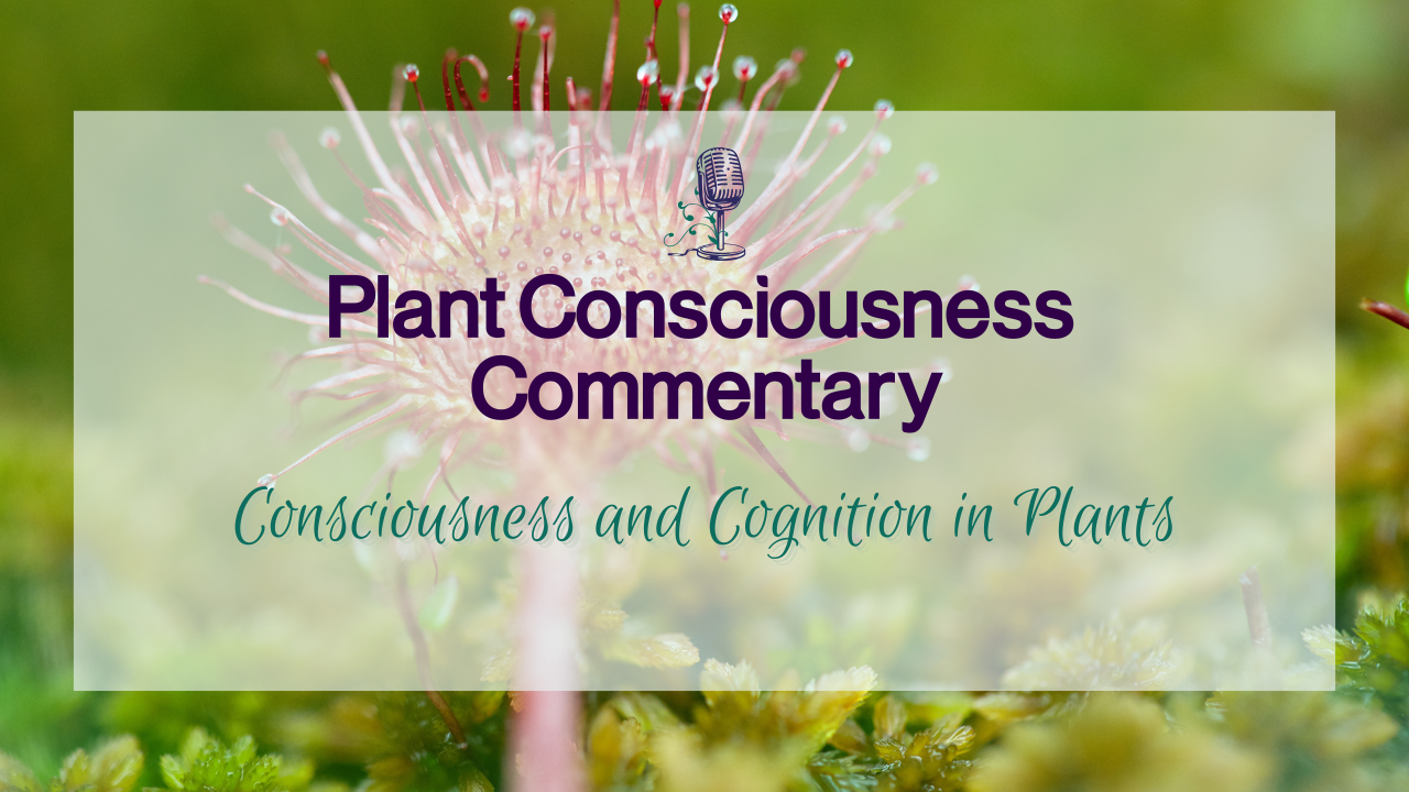 Consciousness and cognition in plants | Plant Consciousness Commentary