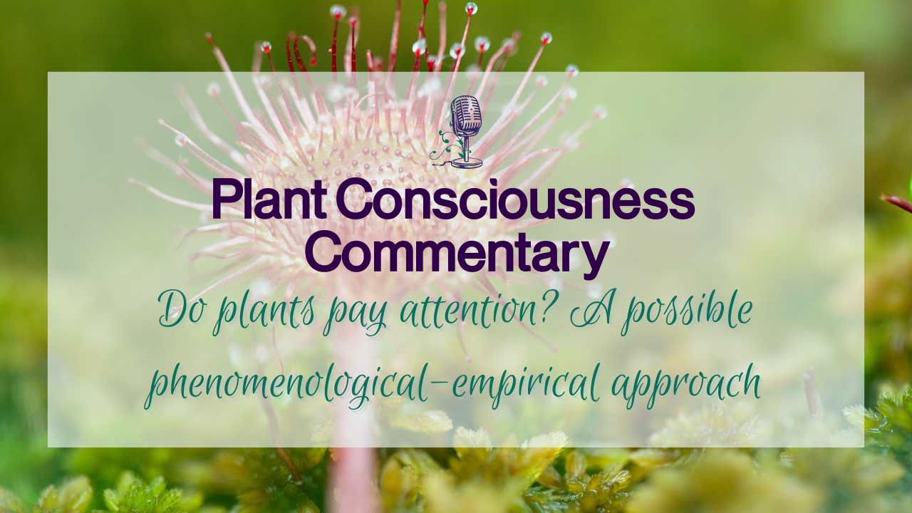 Do plants pay attention? A possible phenomenological-empirical approach | Plant Consciousness Commentary
