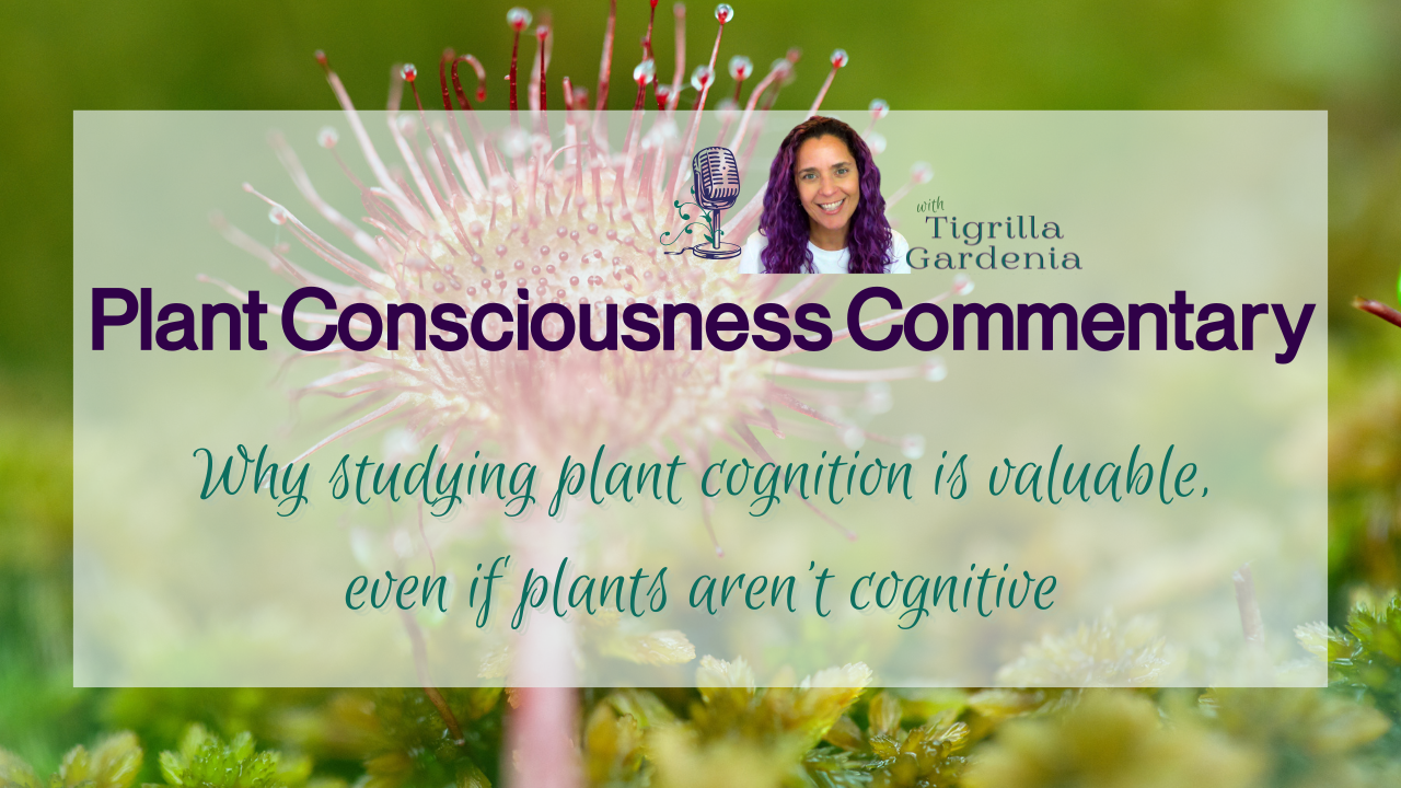 Why studying plant cognition is valuable, even if plants aren't cognitive | Plant Consciousness Commentary