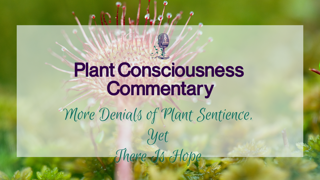 More Denials of Plant Sentience, Yet There Is Hope | Plant Consciousness Commentary