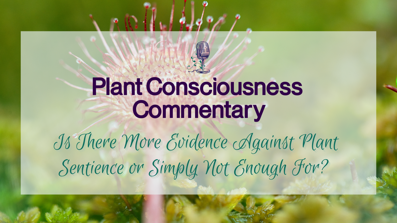 More Evidence Against Plant Sentience or Simply Not Enough For?
