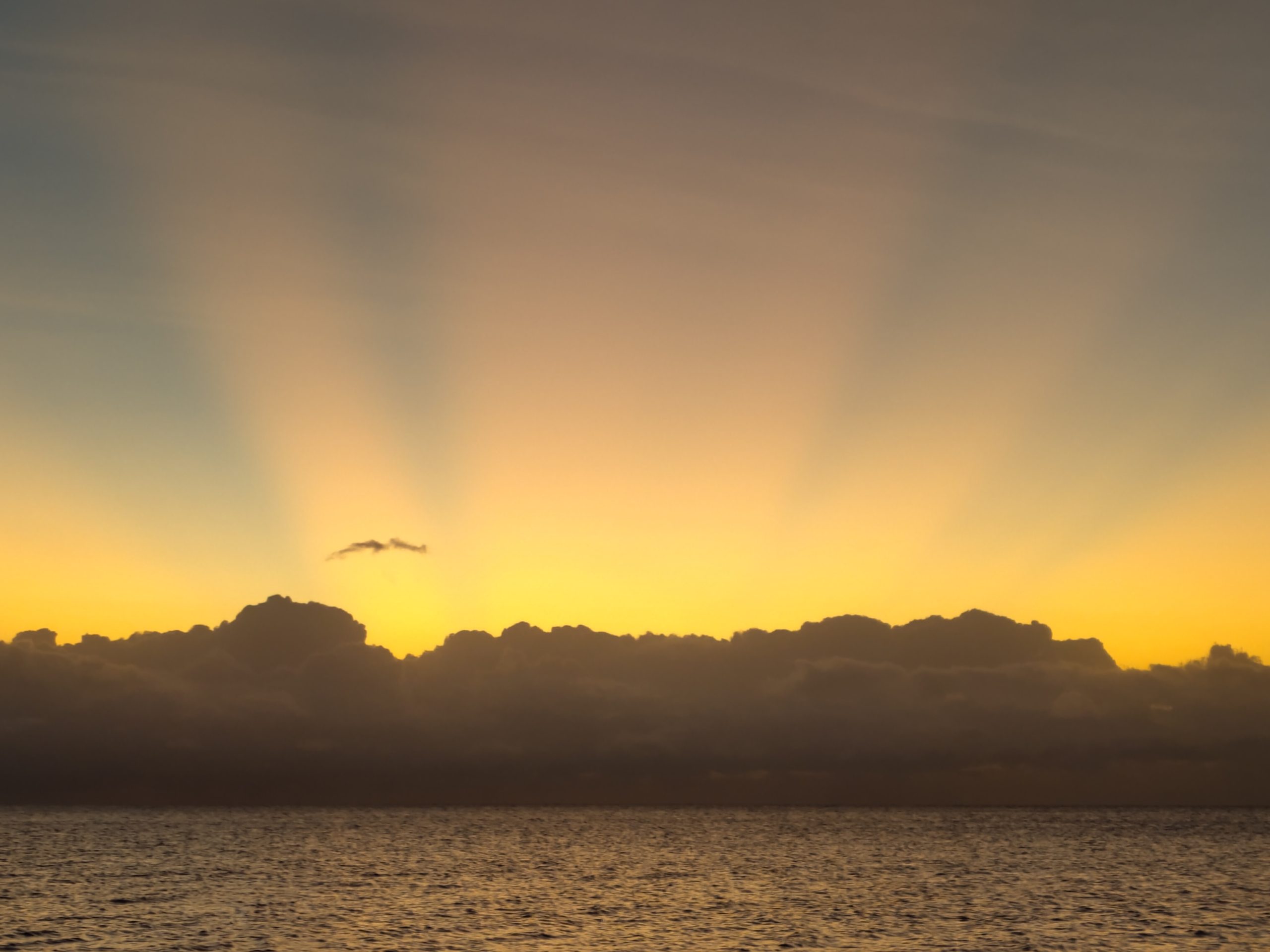 Sunrise over Crandon Park in Key Biscayne, Florida | Miami