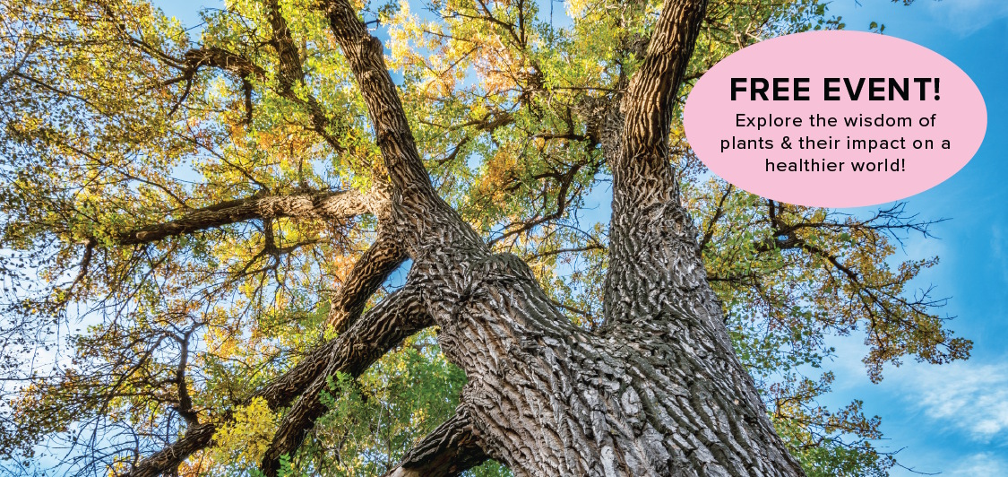 Free Event: Voices of Plants for a Better World | A big tree