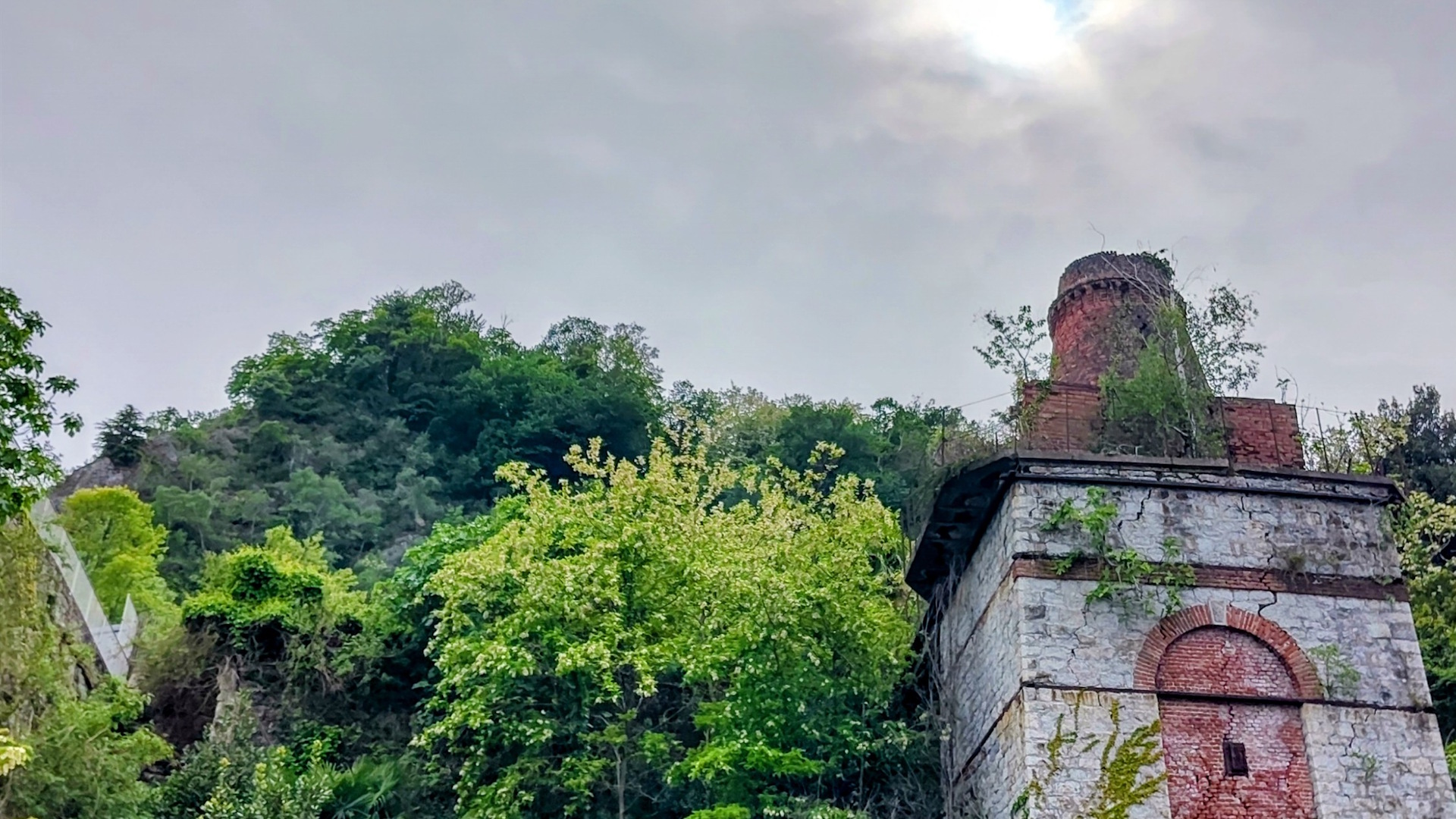 novel ecosystem in northern Italy with a building being taken over by plants