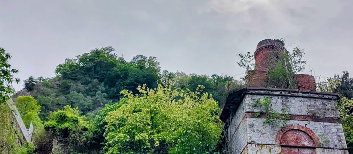 novel ecosystem in northern Italy with a building being taken over by plants