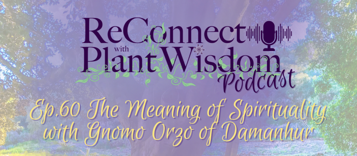 Ep.60 The Meaning of Spirituality | Talk with Gnomo Orzo of Damanhur | ReConnect with Plant Wisdom