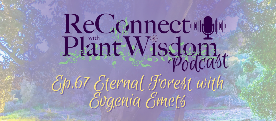 Ep.67 Eternal Forest with Evgenia Emets | ReConnect with Plant Wisdom podcast