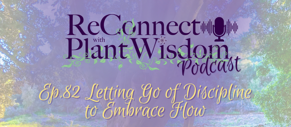 Ep.82 Letting Go of Discipline to Embrace Flow | ReConnect with Plant Wisdom podcast