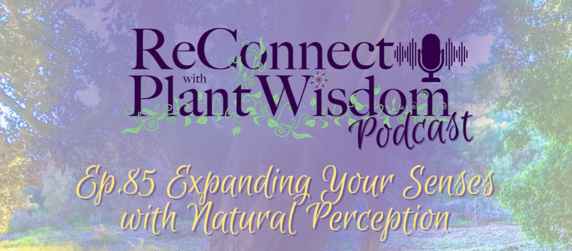 Ep.85 Expanding Your Senses with Natural Perception | ReConnect with Plant Wisdom