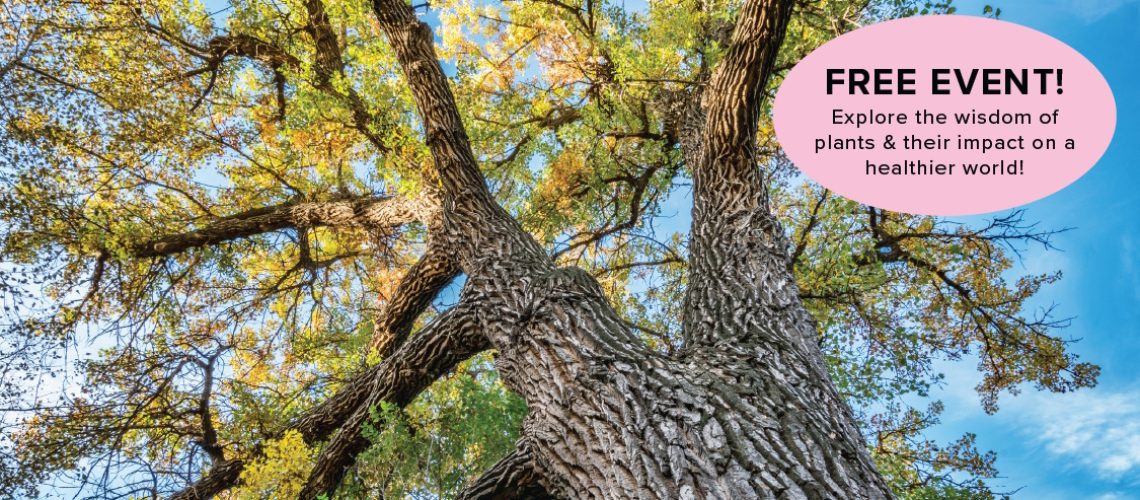 Free Event: Voices of Plants for a Better World | A big tree